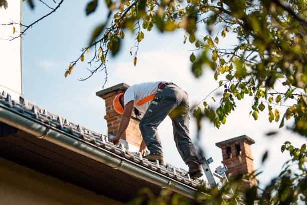 Quick and Trustworthy Emergency Roof Repair Services in Mounds View, MN