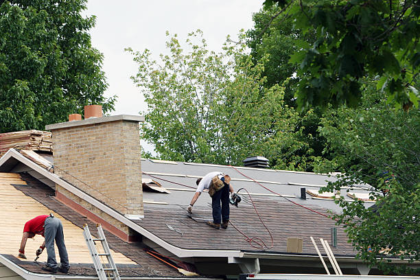 Best Metal Roofing Contractor  in Mounds View, MN